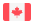Canada DMF Flag